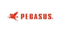 Pegasus